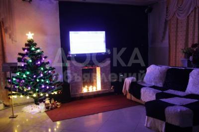 Продам телевизор,камин,диван,палас,елку с игрушками и гирляндами!