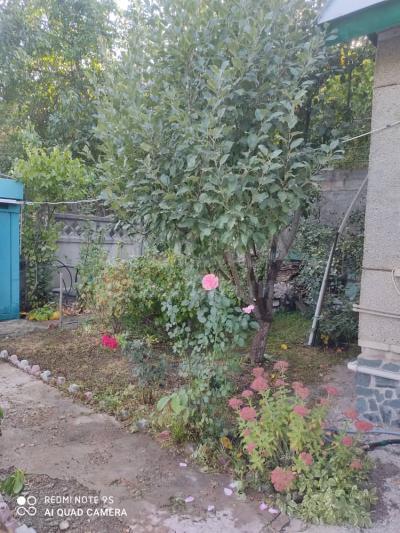 с. Арашан. Продаем дачу возле Роял Фиш