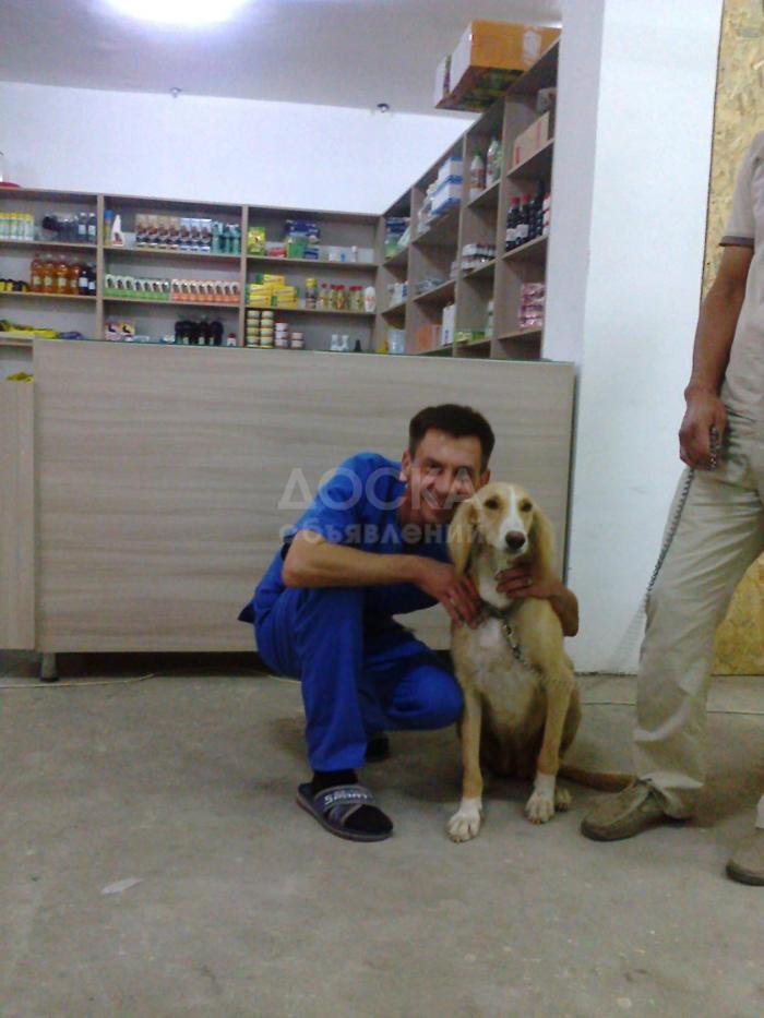 Ветеринарный врач, выезд на дом.