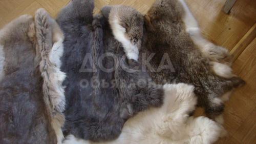 Продаю выделанные шкурки кролика