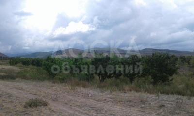 Продаю участок под строительство, 2 га с. Жениш.