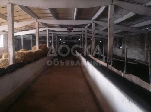 Продаю коммерческую недвижимость здания 2000м2кв. м., c.Милянфан.