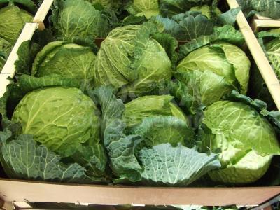 Капуста белокочанная из Испании