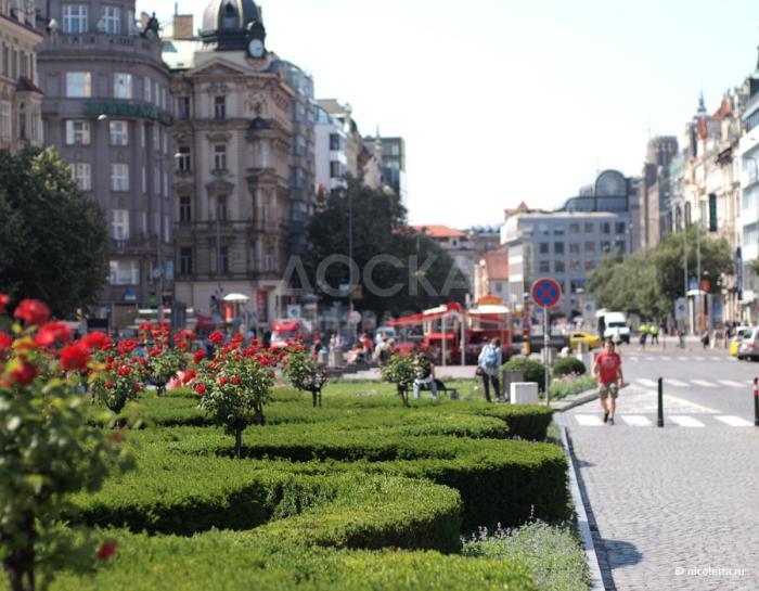 Иммиграция в Чехию