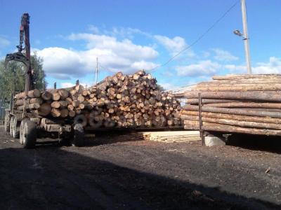 Пиломатериал, доска обрезная, брус, лес