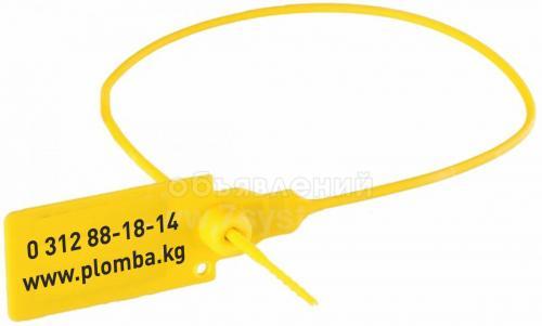 Пломбы и пломбировочные устройства в Кыргызстане