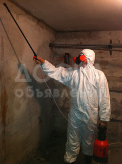 "ExpCleaning" - уборка в сложных ситуациях.