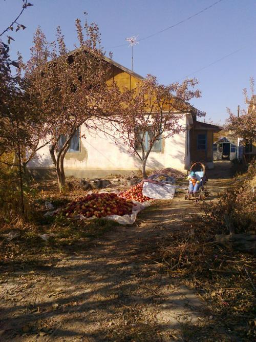 Продаю дом 5-ком., 100кв. м., этаж-1, 13-сот., стена саман, с Бостери.