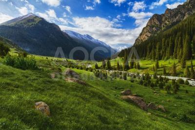 Продаю участок под строительство, 5 га Каракол.