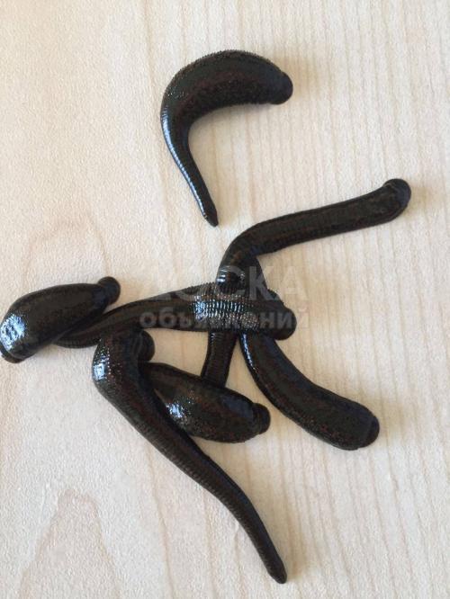 Продаю пиявка