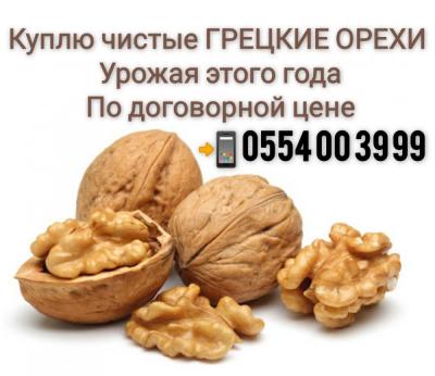 Покупаю чистые ГРЕЦКИЕ ОРЕХИ урожая этого года. По договорной цене