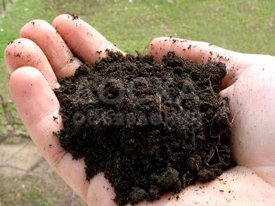 песок, отсев, чернозем, перегной, гравий, щебень, вывоз