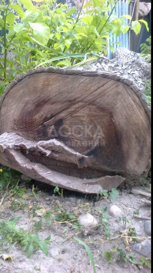 продаю дерево (орех)