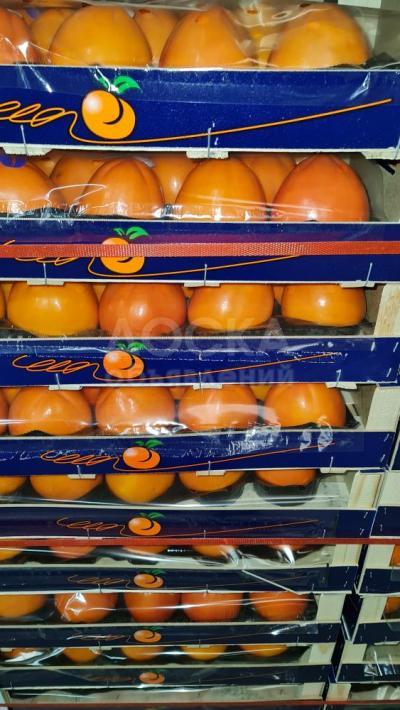 Предлагаем оптовые поставки хурмы (персимон).