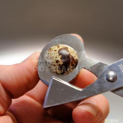 НОЖНИЦЫ для ПЕРЕПЕЛИНЫХ ЯИЦ !!!!