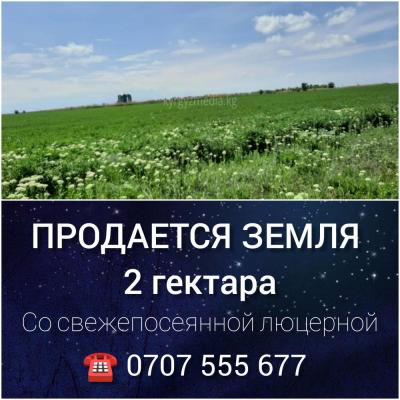 КУН - ТУУДАН 2 ГЕКТАР ЖЕР САТЫЛАТ 

Жаны себилген бедеси менен 
Келишим баада 
Тел. 0707 555 677

ПРОДАЕТСЯ ЗЕМЛЯ 
2 гектара

Со свежепосеянной люцерной
По договорной цене
Тел. 0707 555 677