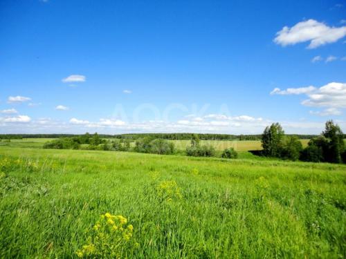 Продаю участок сельхоз назначения, 20 Манас1.