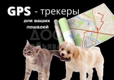 GPS трекера для ваших питомцев и домашних животных /