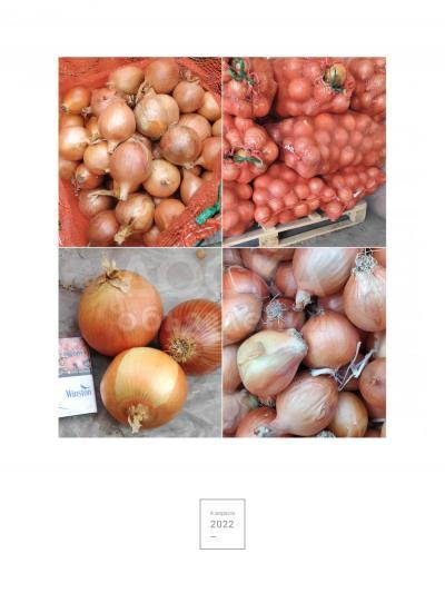 Продаю отборный лук по хорошей цене