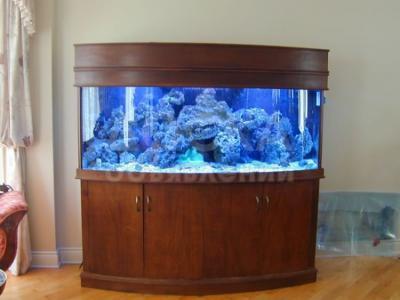 Продаем аквариумы очень красивые с оригинальными рыбками