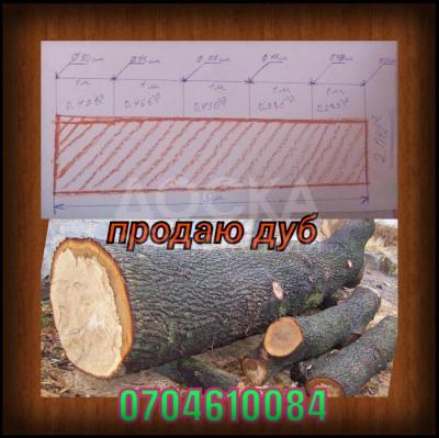 Ствол дуба общий объем 2куба