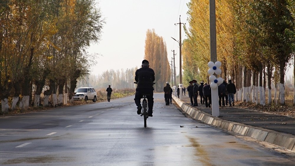 Иллюстрациялык сүрөт