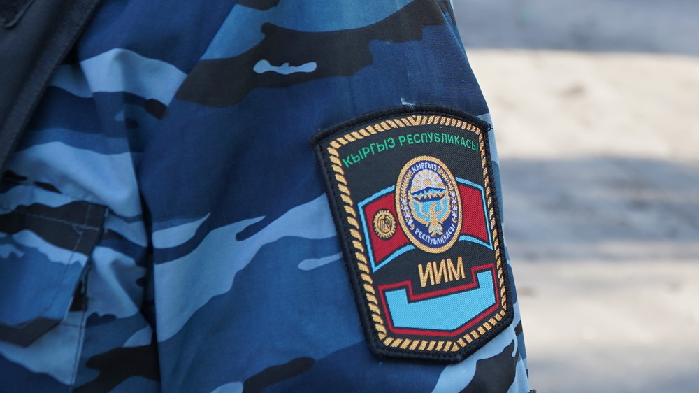 Иллюстрациялык сүрөт