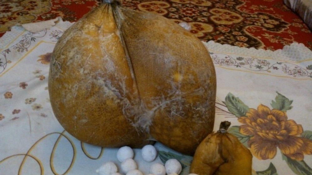 Өз қолыңызбен пенисте