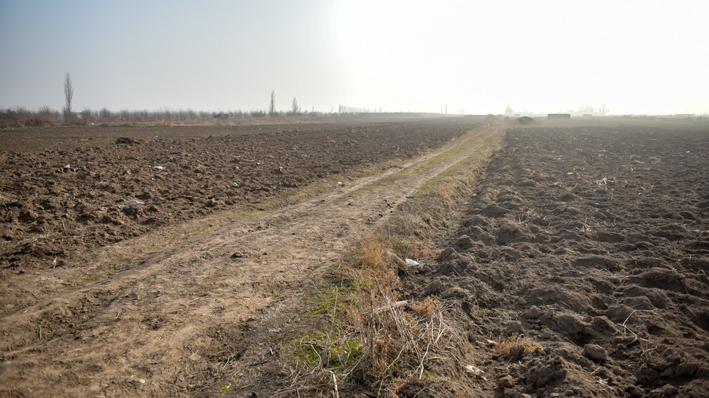 Иллююстрациялык сүрөт