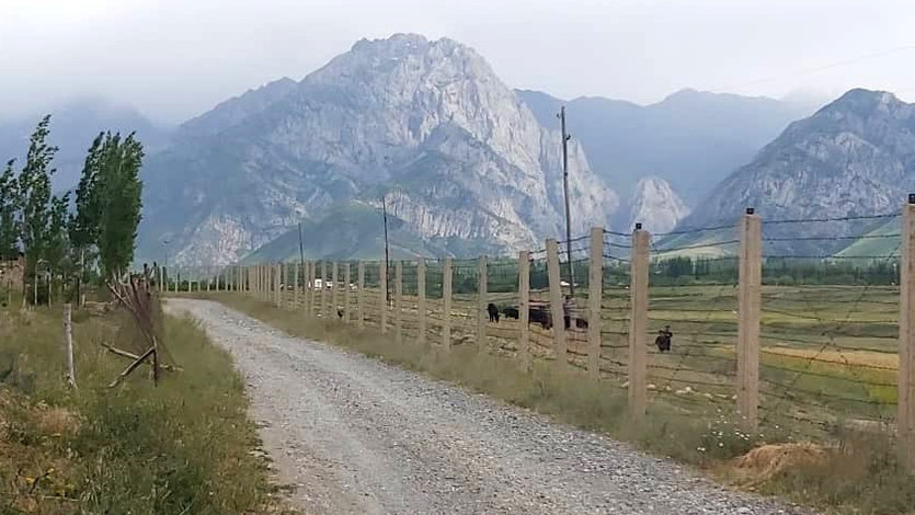 Иллюстрациялык сүрөт