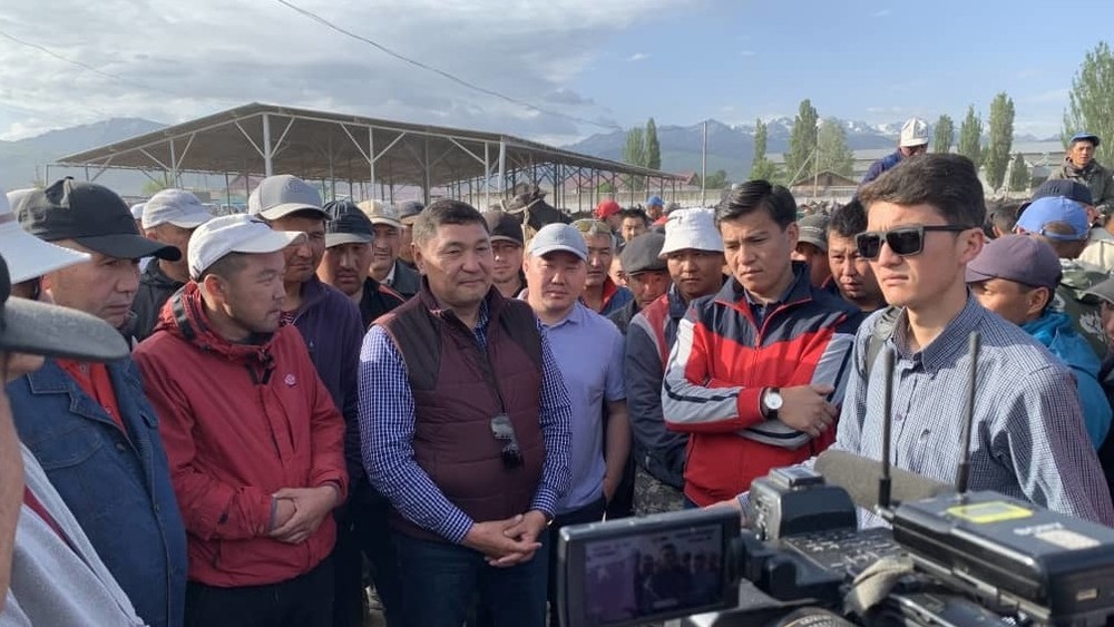 Животноводческий рынок