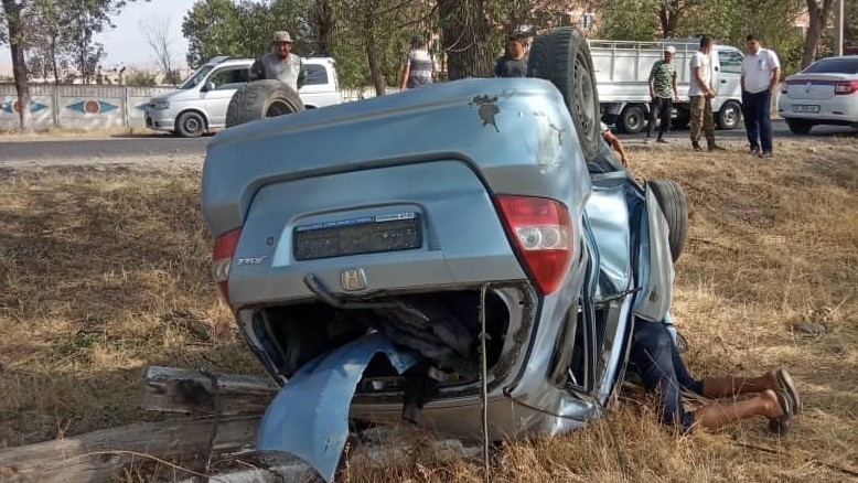 Иллюстрациялык сүрөт