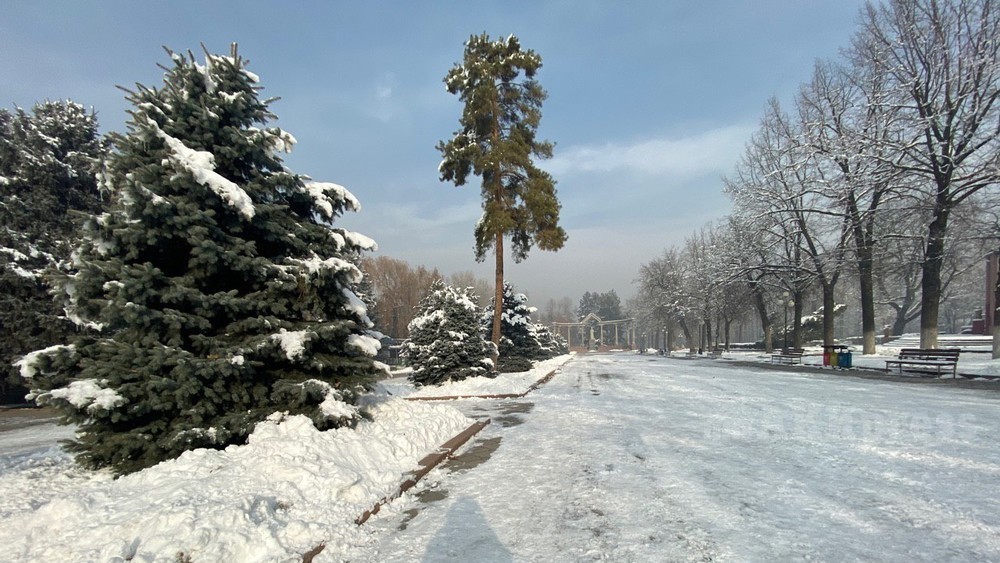 Парк имени Чынгиза Айтматова