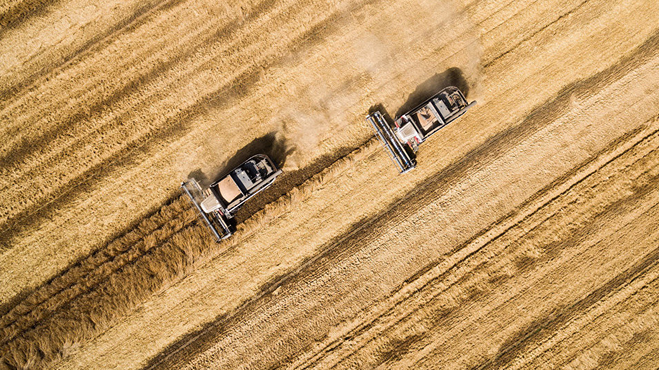 Иллюстрациялык сүрөт