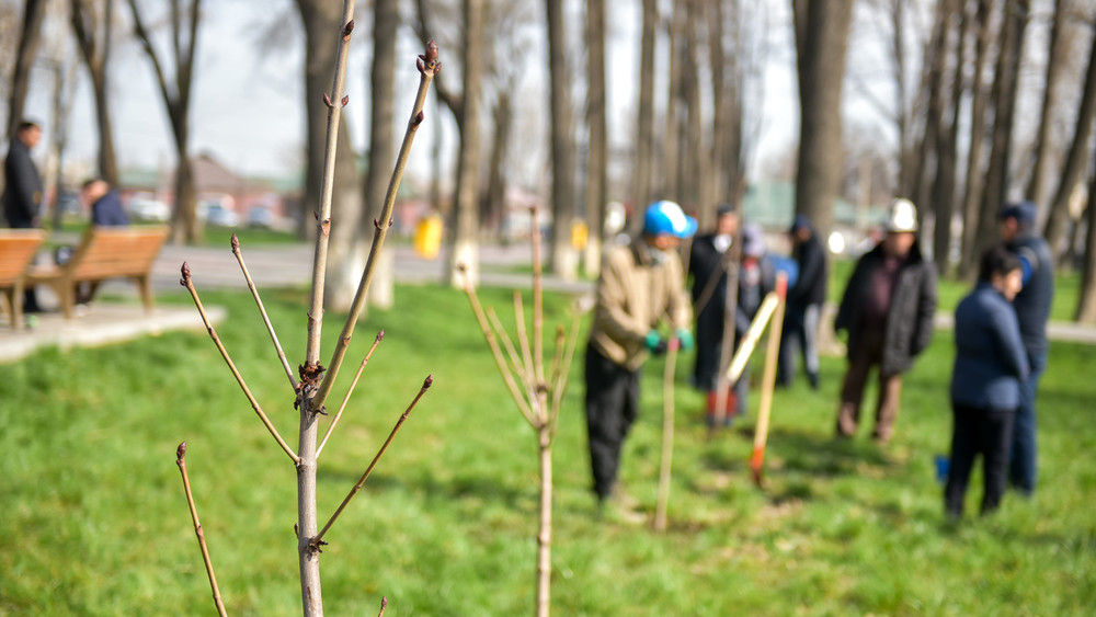 Иллюстрациялык сүрөт