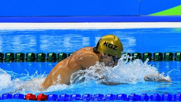 Иллюстрациялык сүрөт