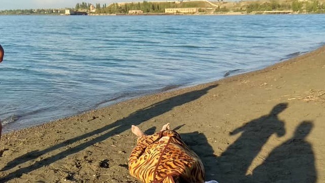 Иллюстративное фото