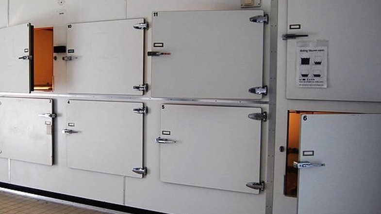 Иллюстрациялык сүрөт