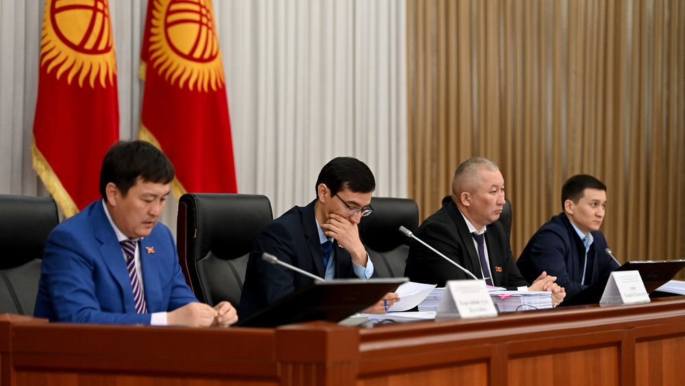 Члены Конституционного комитета ЖК