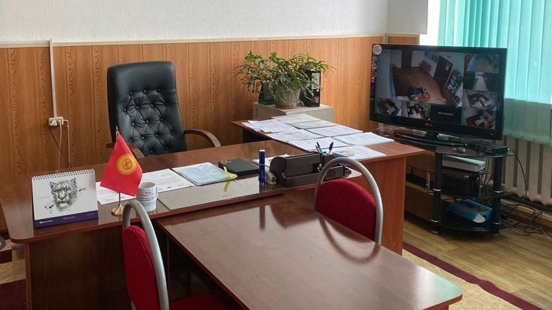 Иллюстративное фото