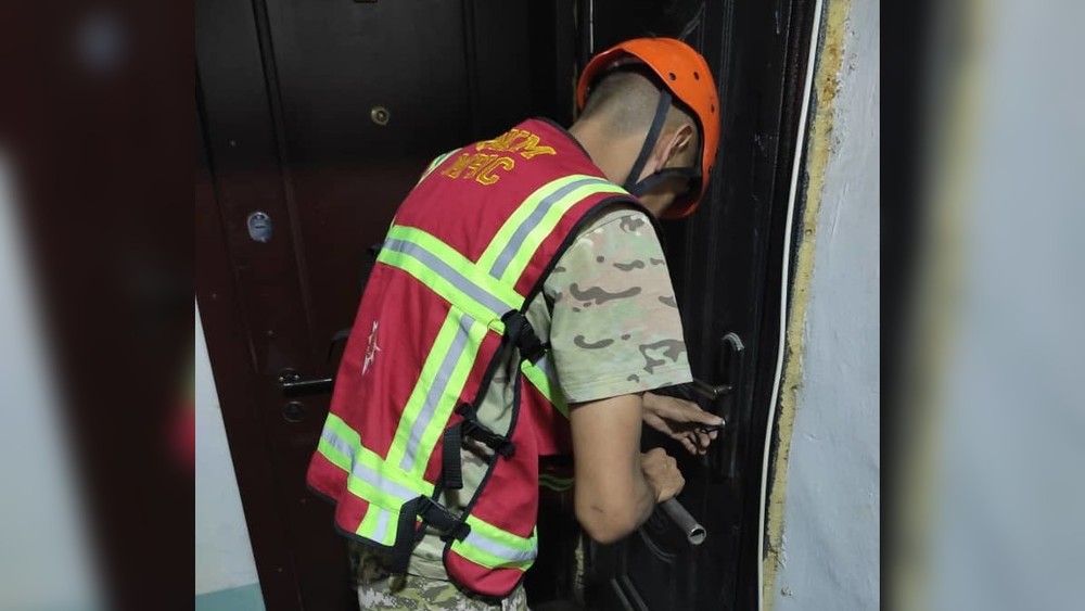 Иллюстрациялык сүрөт