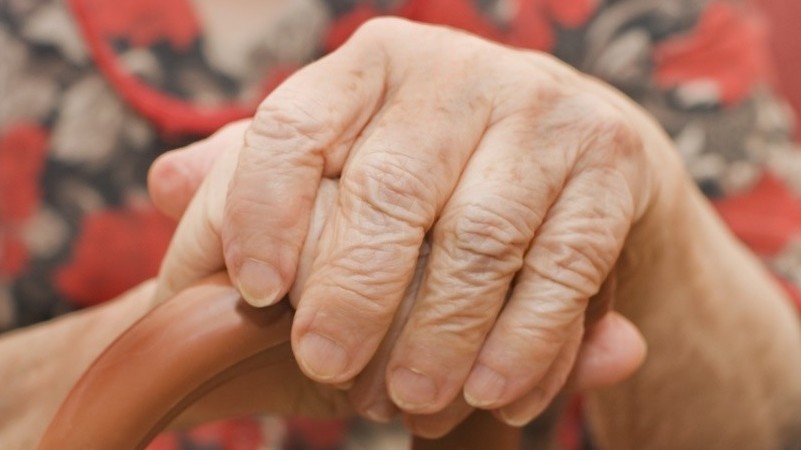 Иллюстрациялык сүрөт