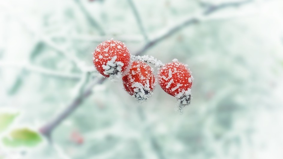 Иллюстративное фото