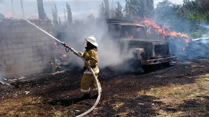 Иллюстрациялык сүрөт