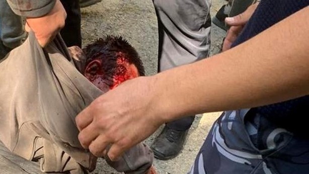 Иллюстрациялык сүрөт