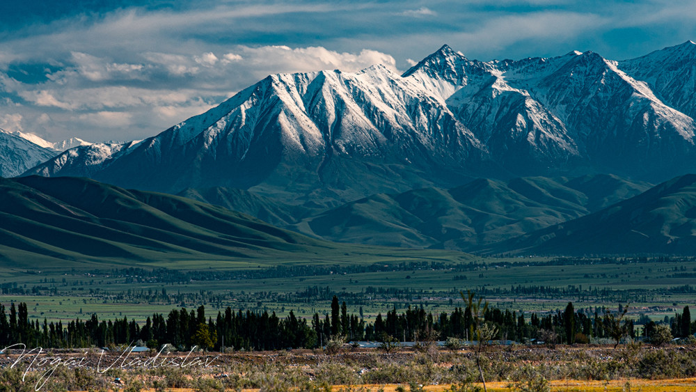 Фото Владислава Ногая