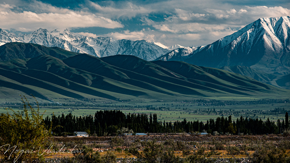 Иллюстрациялык сүрөт