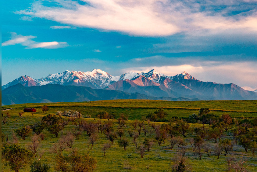 Иллюстрациялык сүрөт