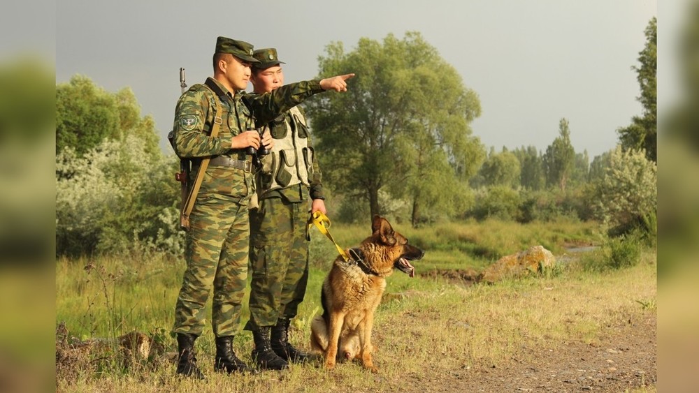 Иллюстративное фото