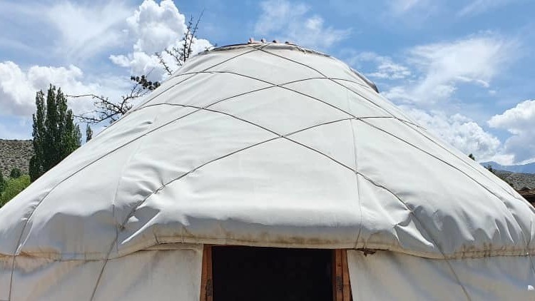 Иллюстрациялык сүрөт